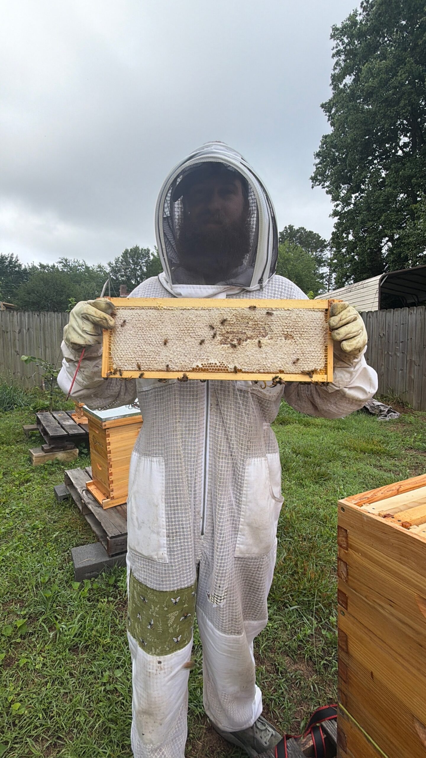 A mentor and student inspecting a frame together at a hive
