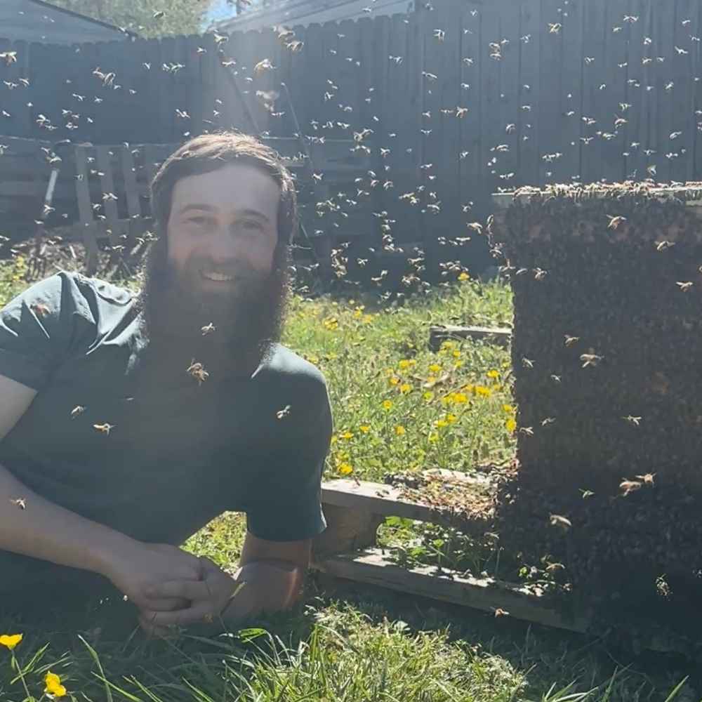 Beekeeper kneeling beside open hives in a backyard apiary