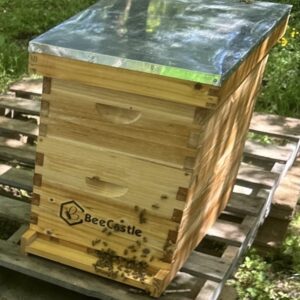 Langstroth Hive